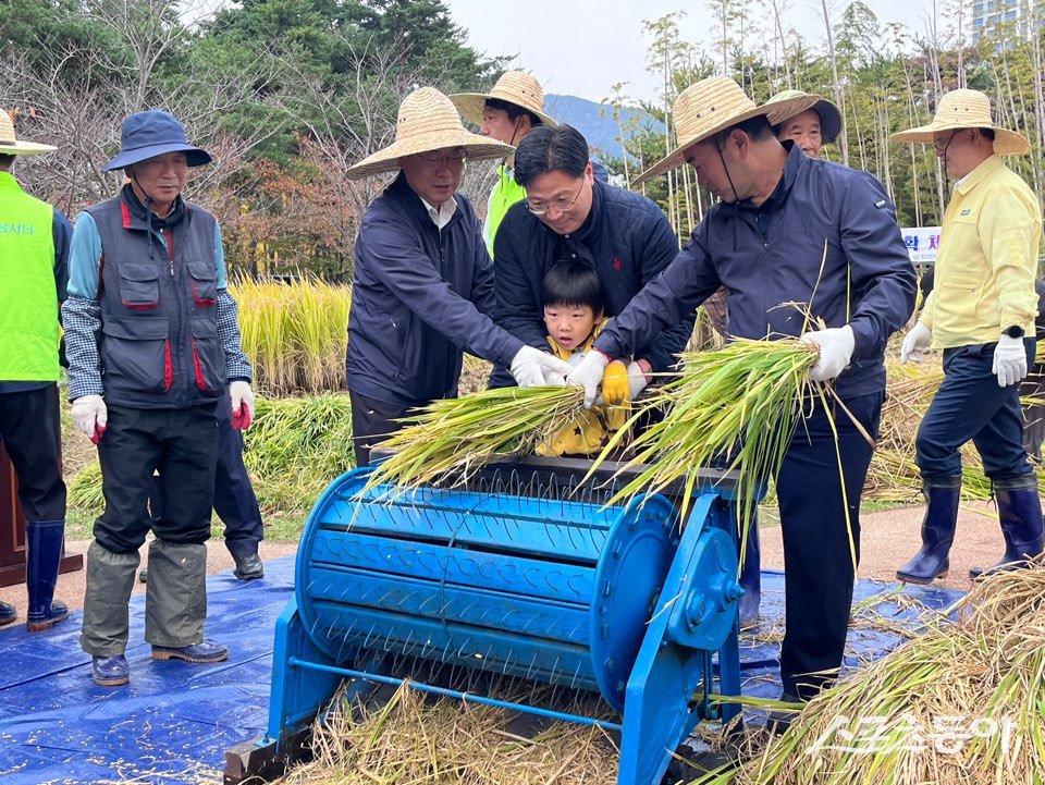재래식 탈곡기를 이용해 벼를 터는 체험을 하고 있는 모습. (사진제공=부산시설공단)