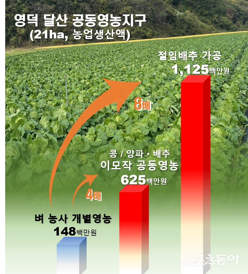 달산영농지구 이모작 소득분석 사진=경북도