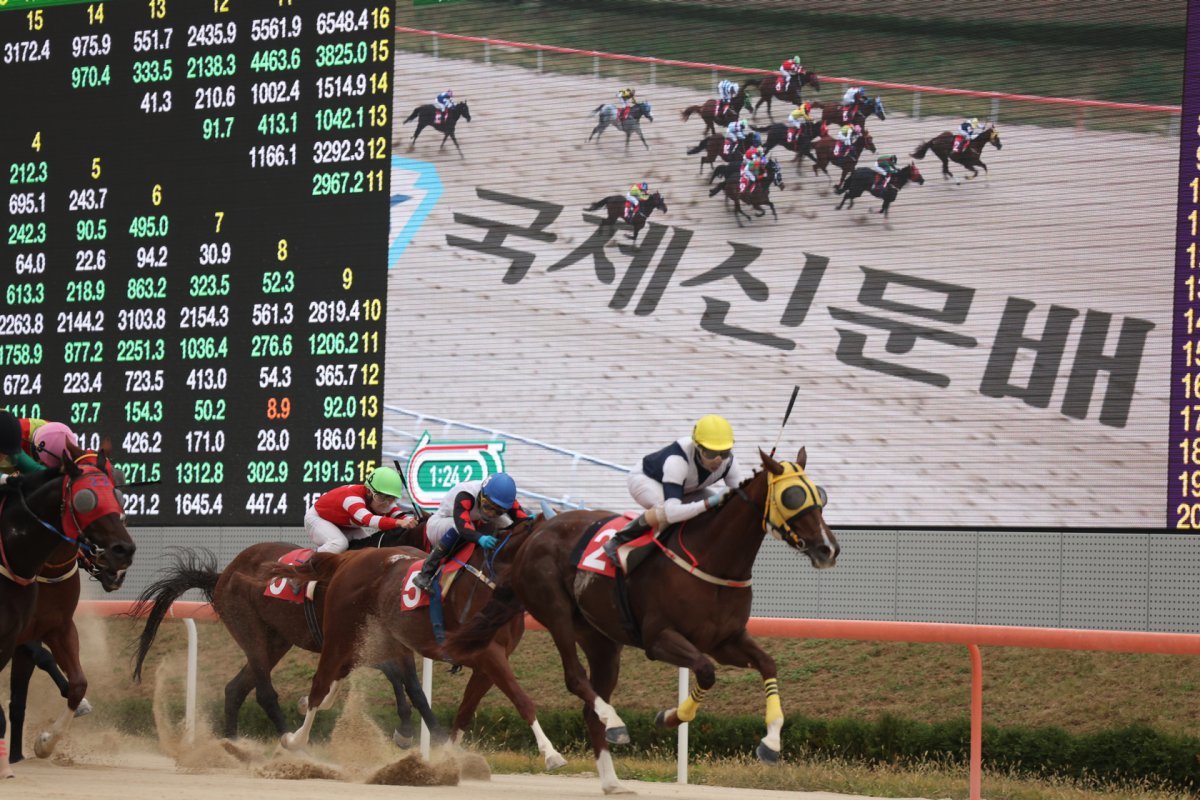 10일 렛츠런파크 부경에서 열린 국제신문배 대상 경주에서 짜릿한 역전 질주로 가장 먼저 결승선 통과하는 강서자이언트(2번)                                                                                                                                                              사진제공｜한국마사회