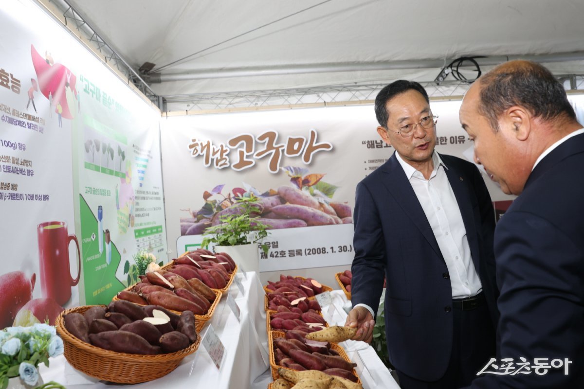 명현관 해남군수가 최근 해남미남축제에서 고구마 전시관을 방문해 살펴보고 있는 모습. 사진제공=해남군