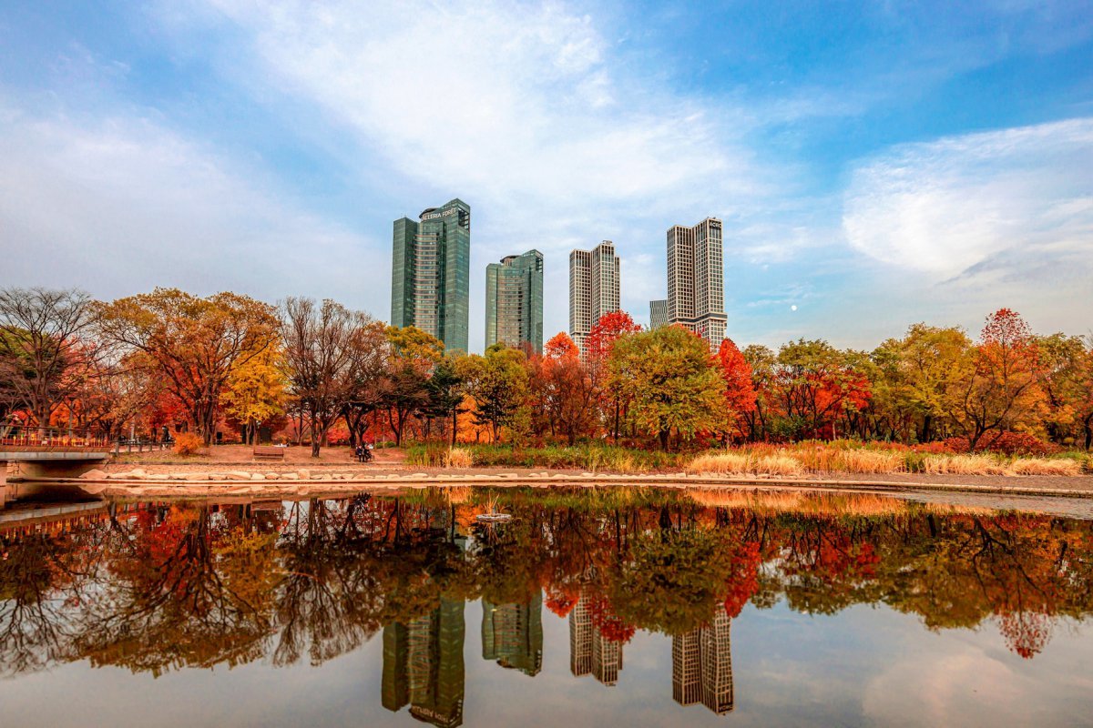 가을 단풍이 물든 서울숲 전경                      사진제공｜서울관광재단