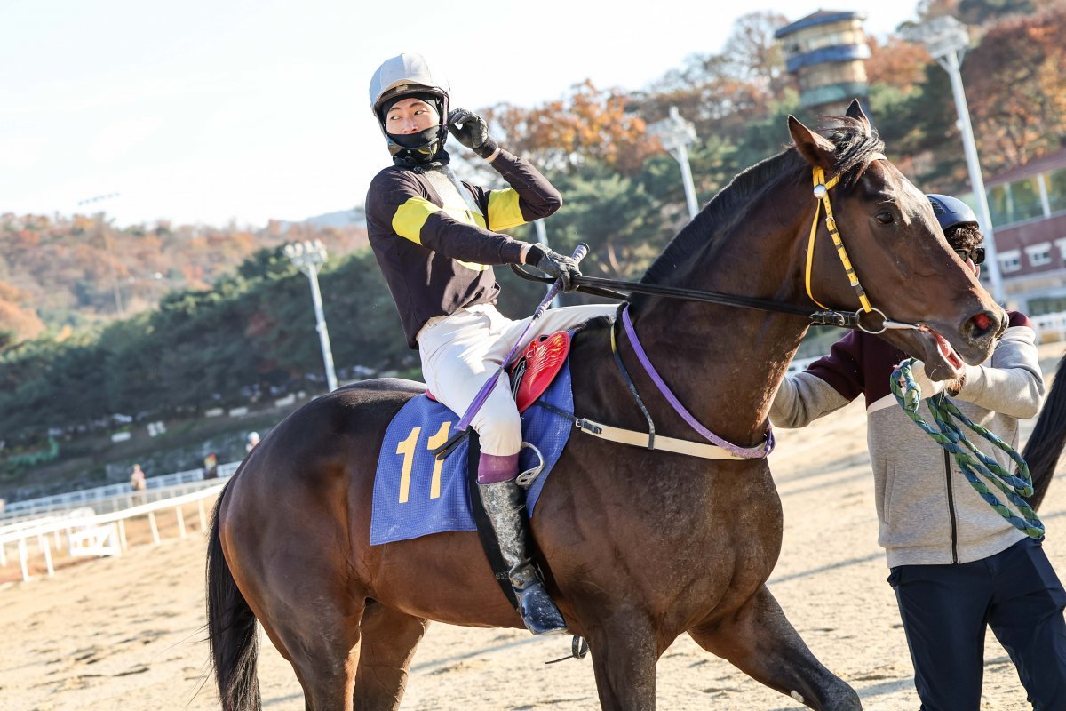 17일 렛츠런파크 서울에서 열린 과천시장배에서 우승한 원평스톰과 임다빈 기수. 이번 우승으로 경마팬들에게 단거리 강자임을 다시 한번 각인시켰다                          사진제공｜한국마사회