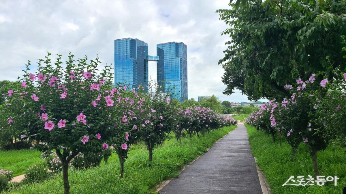 오산시, 오산천 무궁화동산 ‘제11회 나라꽃 무궁화 명소’선정/오산시 제공