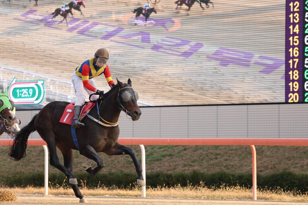 24일 브리더스컵 루키에서 대상경주에서 막판 역전승에 성공한 아쿠아라인과 조인권 기수                                                 사진제공｜한국마사회