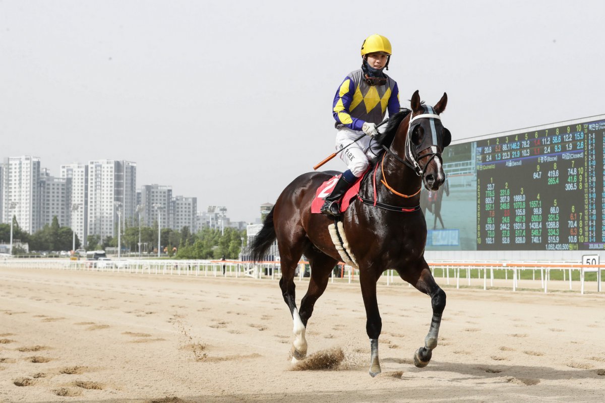 투혼의반석 사진제공|한국마사회