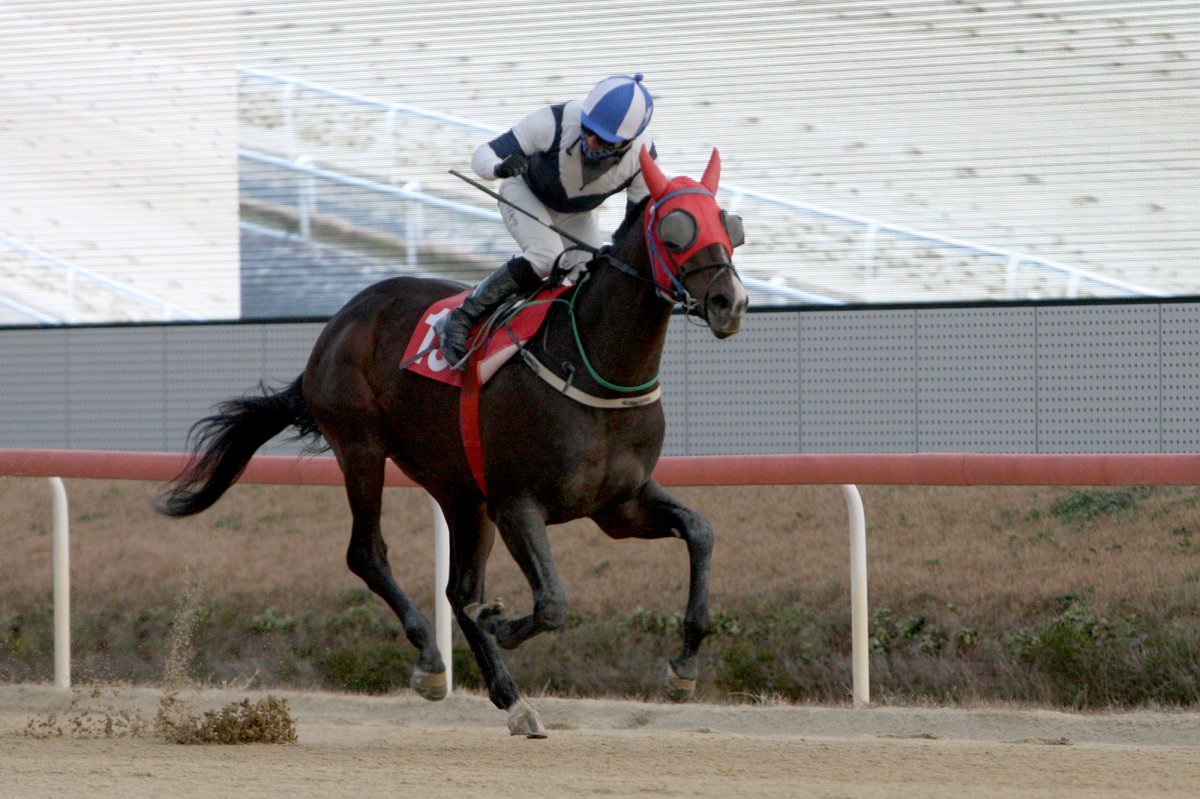 스피드영 사진제공|한국마사회