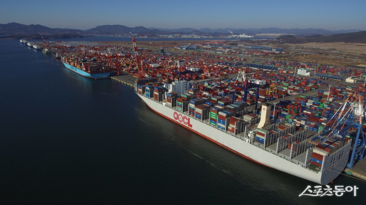 광양항 컨테이너부두. 사진제공=여수광양항만공사