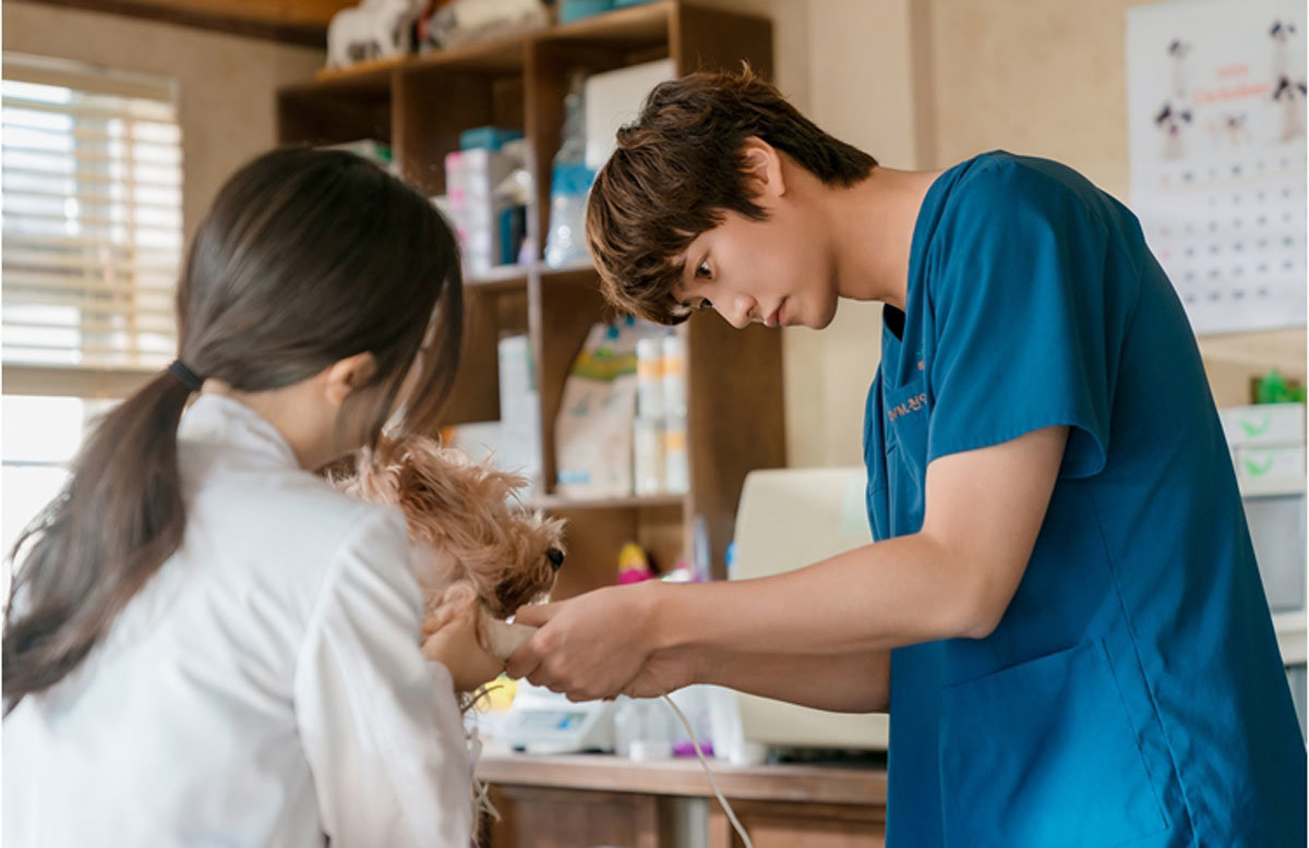 ‘모텔 캘리포니아’ 나인우, 시골 농장주 사윗감 1순위…하나읍 수의사 ‘천연수’ 변신