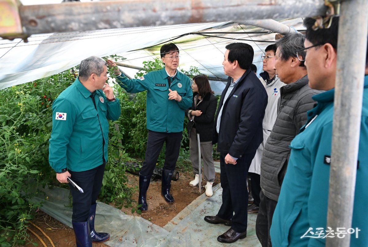 이민근 안산시장, 폭설 피해 농가 현장 점검 모습/안산시 제공