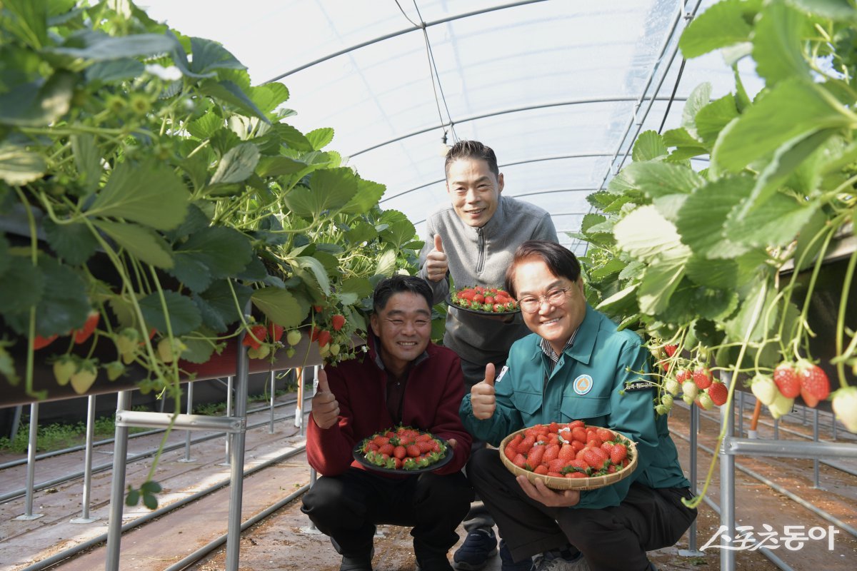 김하수 청도군수(오른쪽)가 딸기 농장을 방문해 격려하고 기념촬영을 하고 있다./사진=청도군