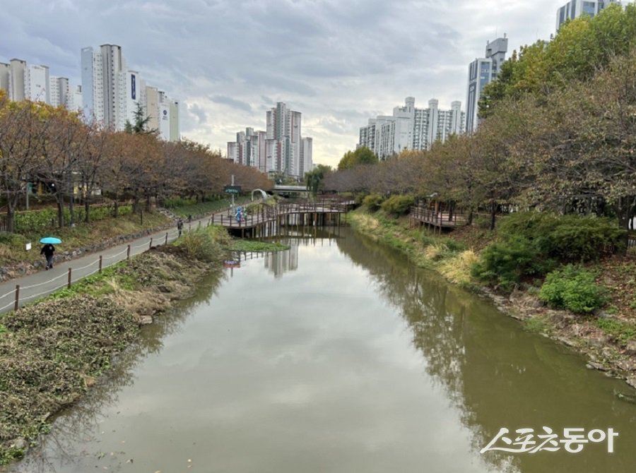 인천 서부간선수로(수초제거 후) 전경. 사진제공｜인천시청