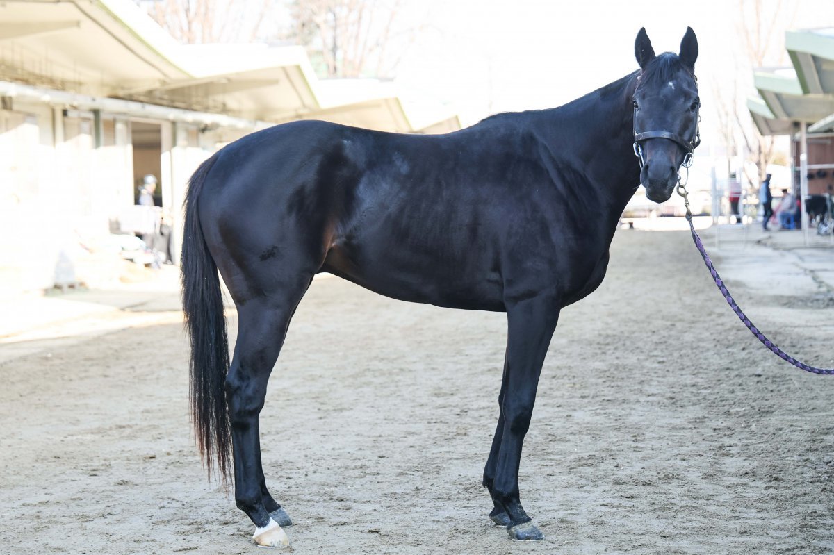 월드피플                        사진제공｜한국마사회