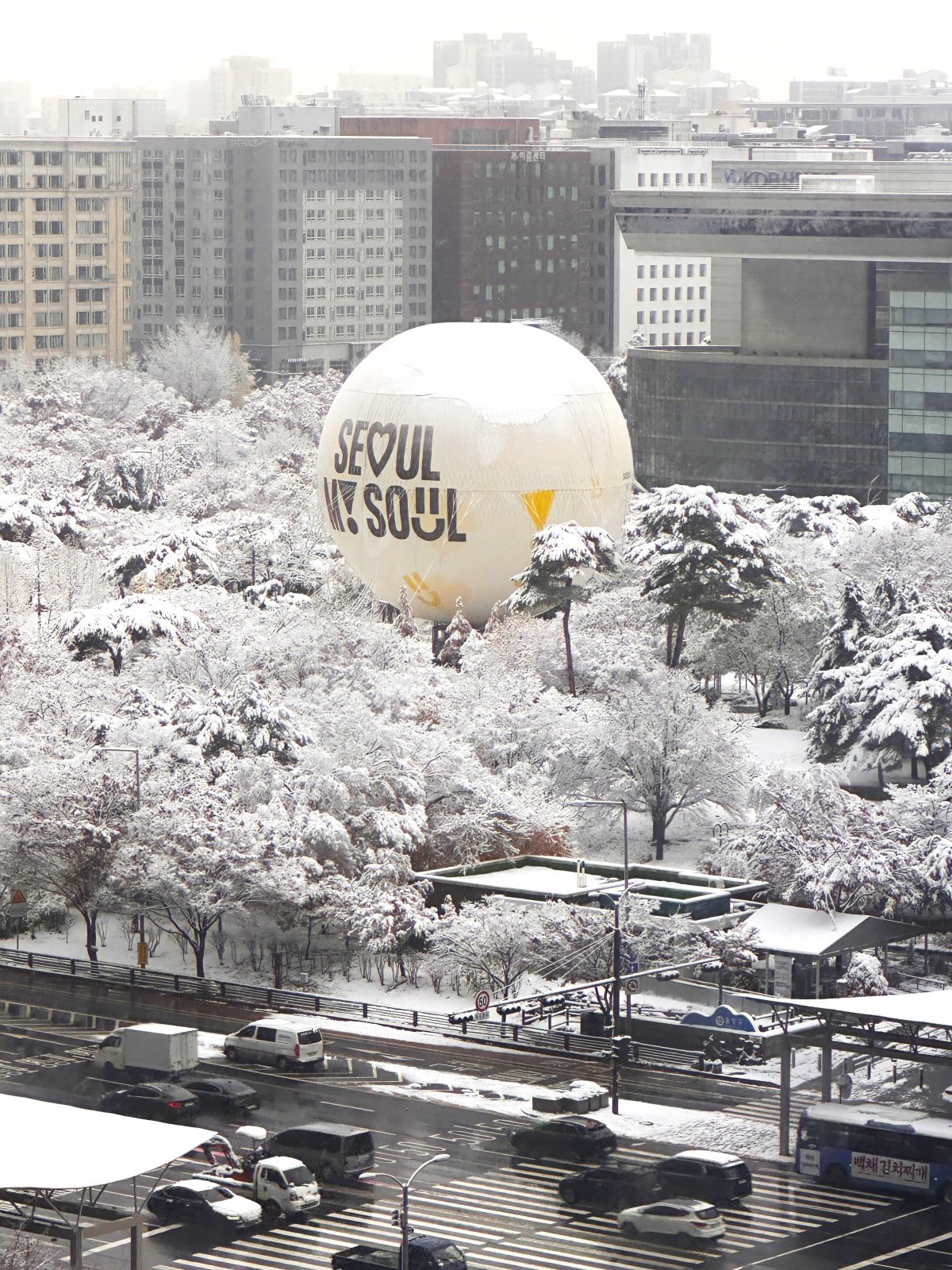 사진제공｜서울관광재단