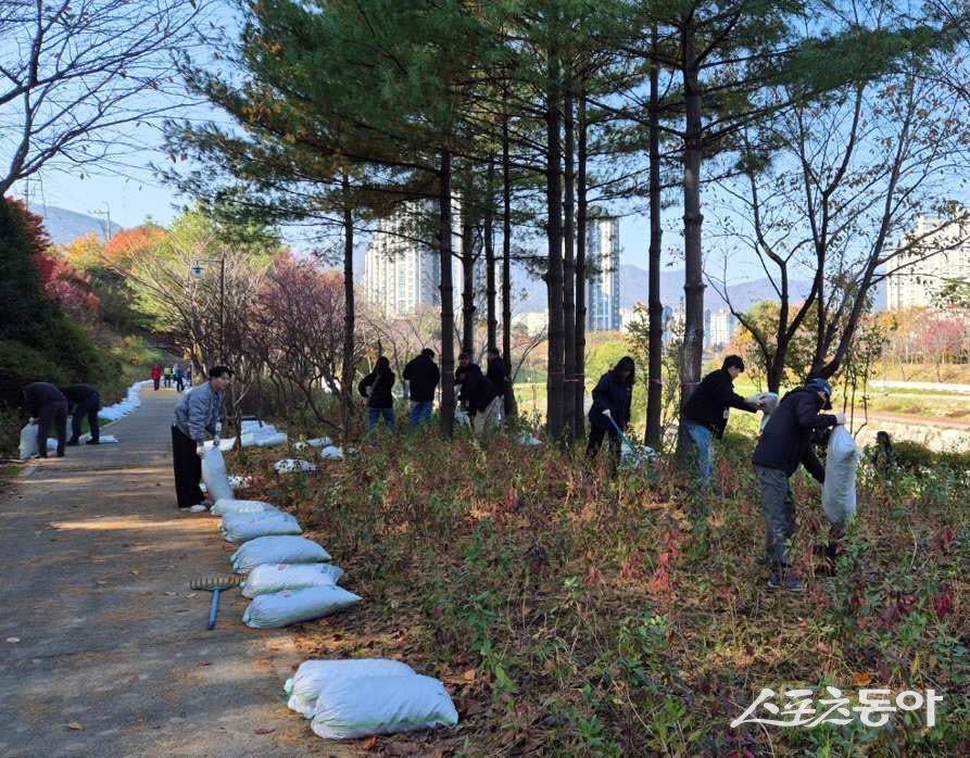 부산 기장군이 좌광천 망향정 일원에 진달래 동산을 조성하고 있는 모습. (사진제공=부산 기장군)