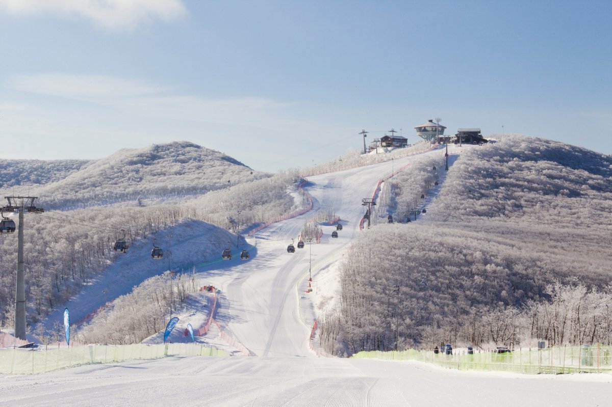 하이원리조트 스키장의 슬로프. 초보자도 정상부터 활강하며 내려올 수 있는 넓고 완만한 경사의 코스가 있다     사진제공｜강원랜드