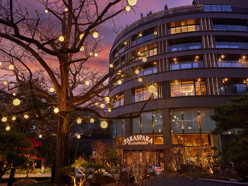 파라스파라 서울 전경과 호텔의 명물인 600년 수령의 은행나무 사진제공|파라스파라서울