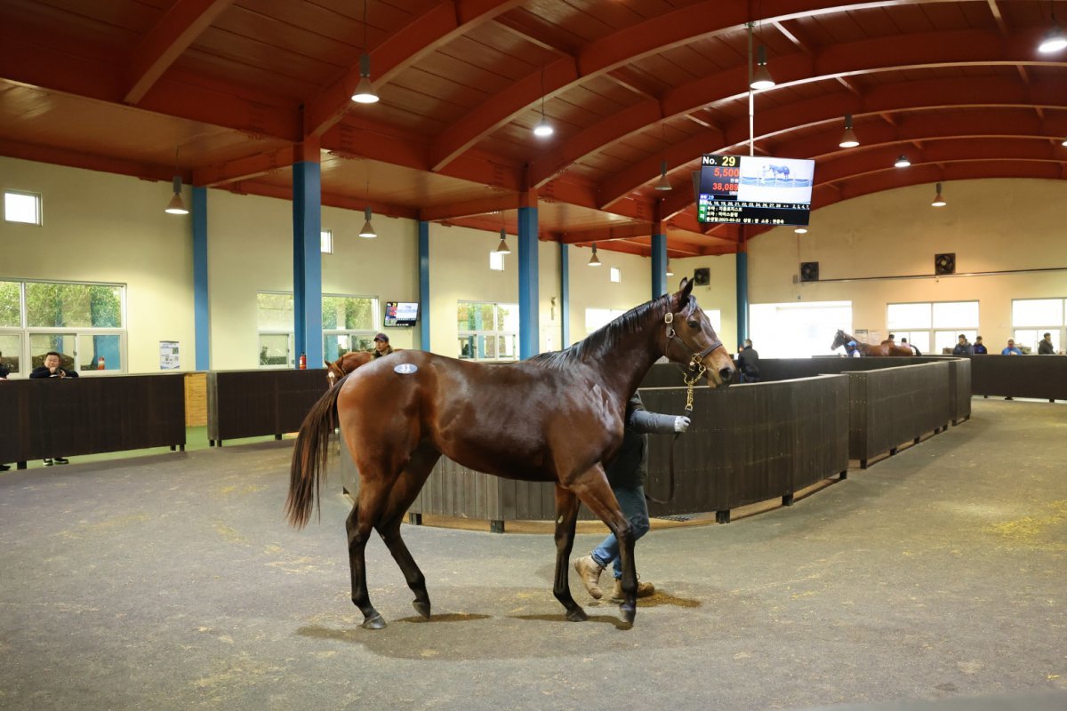 사진제공|한국마사회