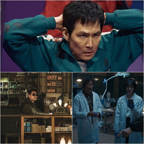 사진제공｜넷플릭스·디즈니+·쿠팡플레이