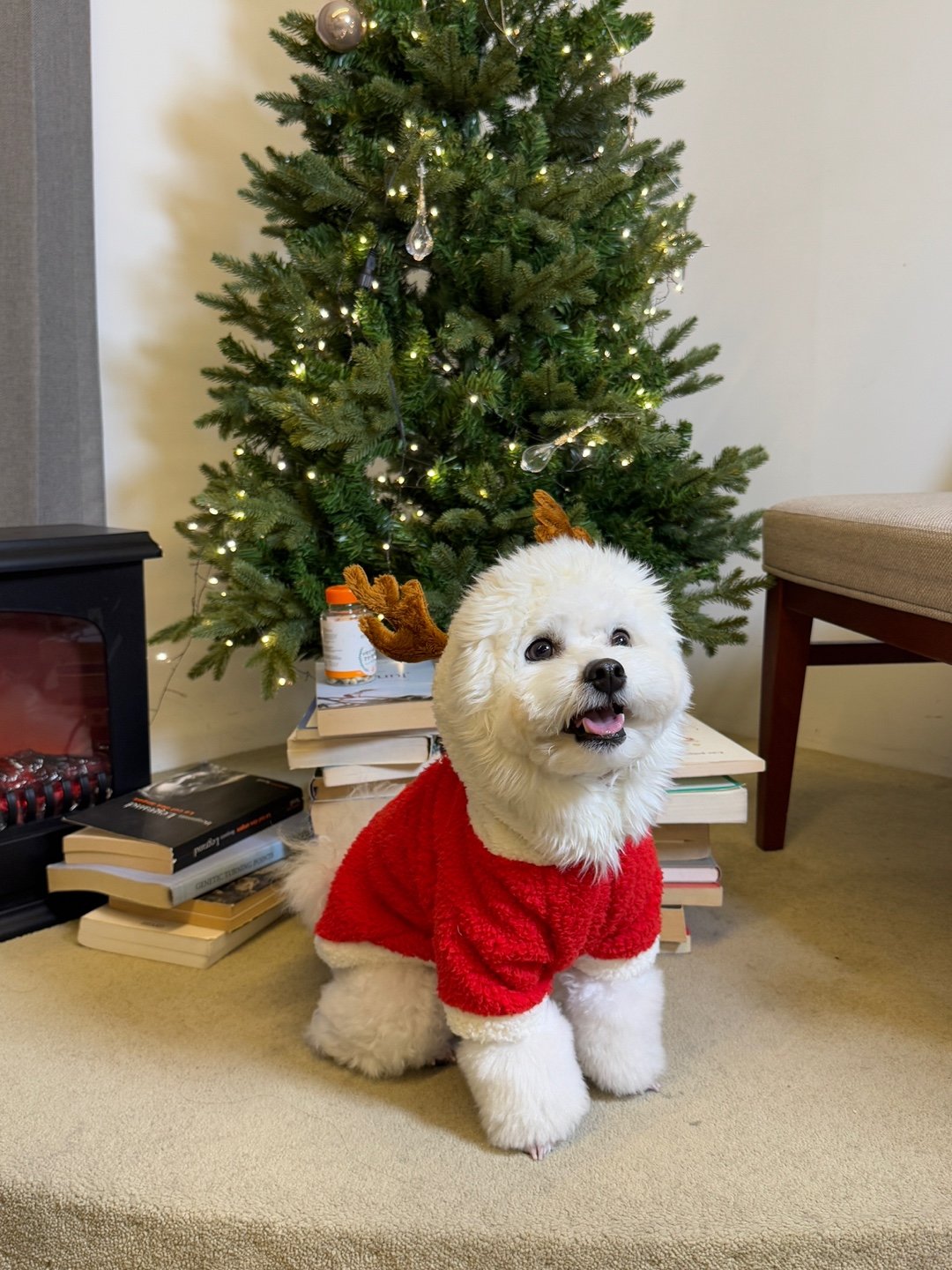 사진제공|에브라임커뮤니케이션