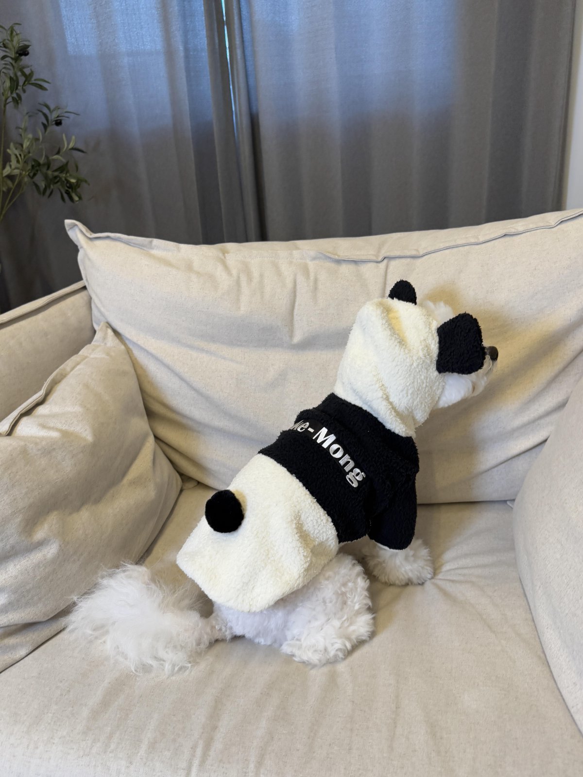 사진제공|에브라임커뮤니케이션