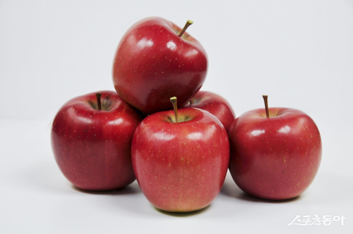 장성군이 기후변화에 대응하기 위해 시범 보급을 추진하는 신품종 ‘컬러플 사과’. 사진제공=장성군