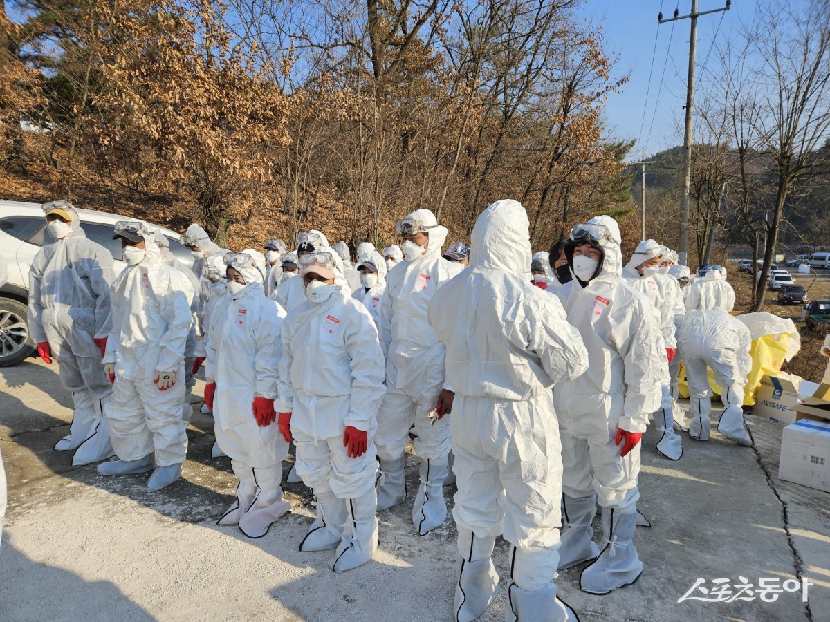 조류인플루엔자 인체감염대책반 가동 사진=경북도