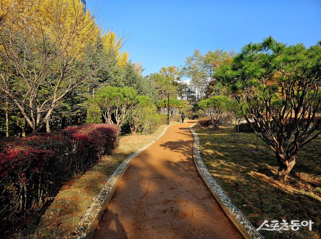 탄현공원 자연 흙길 및 산책로 사진제공ㅣ고양시