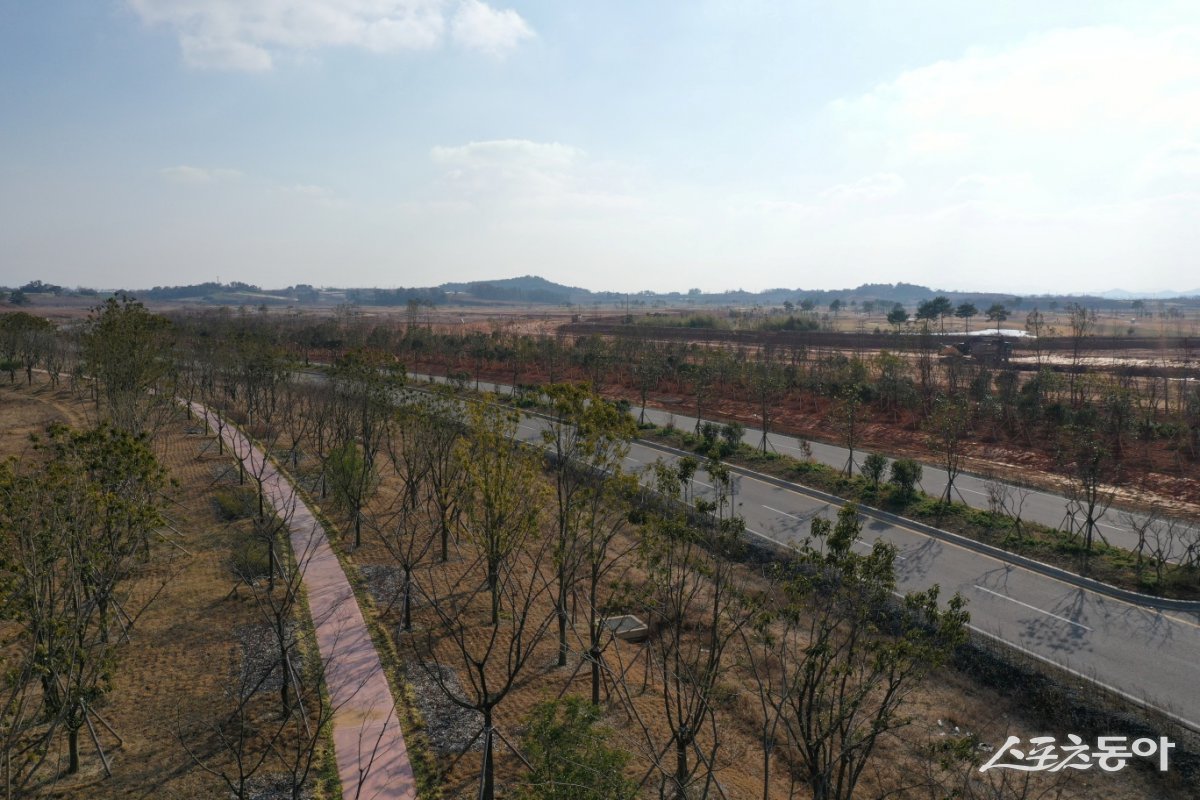 해남군이 산이면 솔라시도 주택 예정단지 인근에 조성한 미세먼지 저감을 위한 기후대응 도시숲. 사진제공=해남군