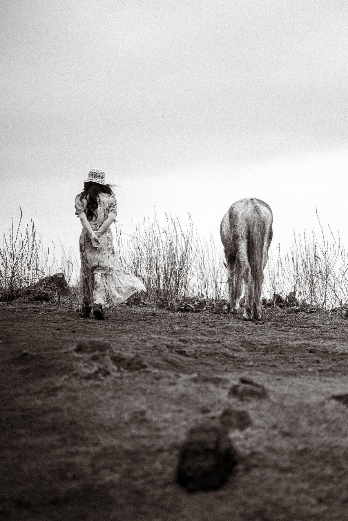 말 사진 공모전의 대상 수상작 최방원 작가의 ‘동행’                    사진제공｜한국마사회
