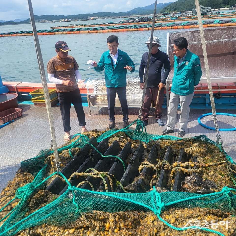 전남도 관계자가 관내 전복 양식장을 방문한 모습. 사진제공=전남도