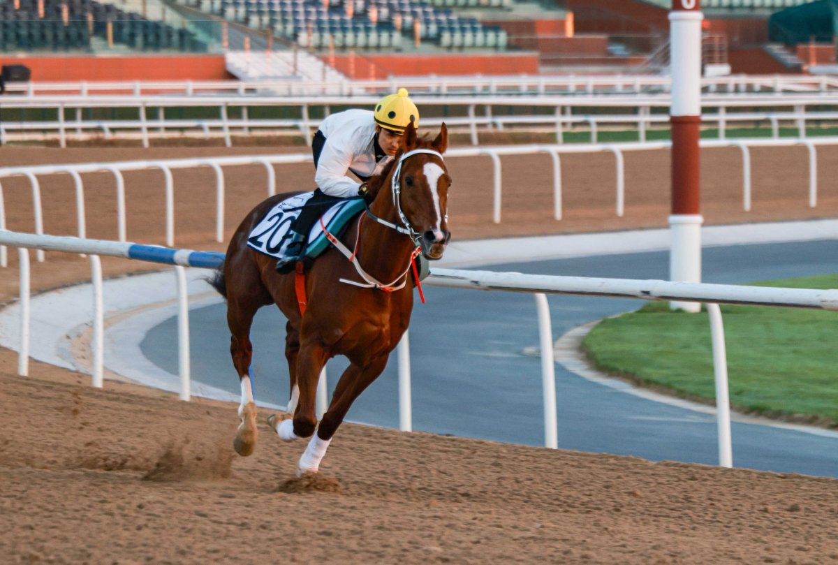 올초 두바이 메이단 경마장에서 새벽조교 중인 심장의고동과 문세영기수                  사진제공｜한국마사회