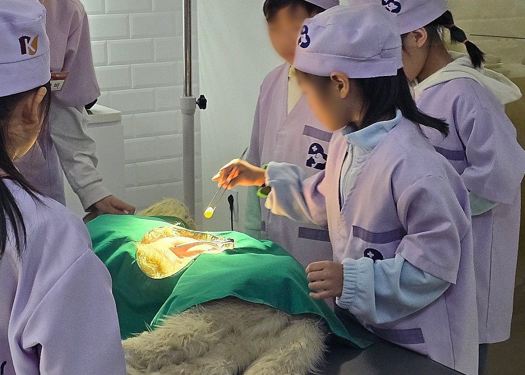 수의사 직업 체험을 하는 아이들                    사진제공｜광동제약