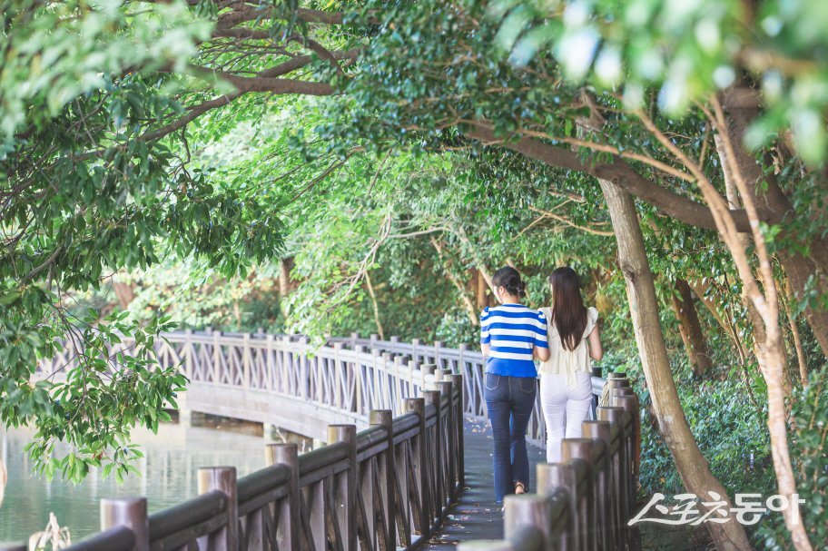 완도수목원. 사진제공=완도군