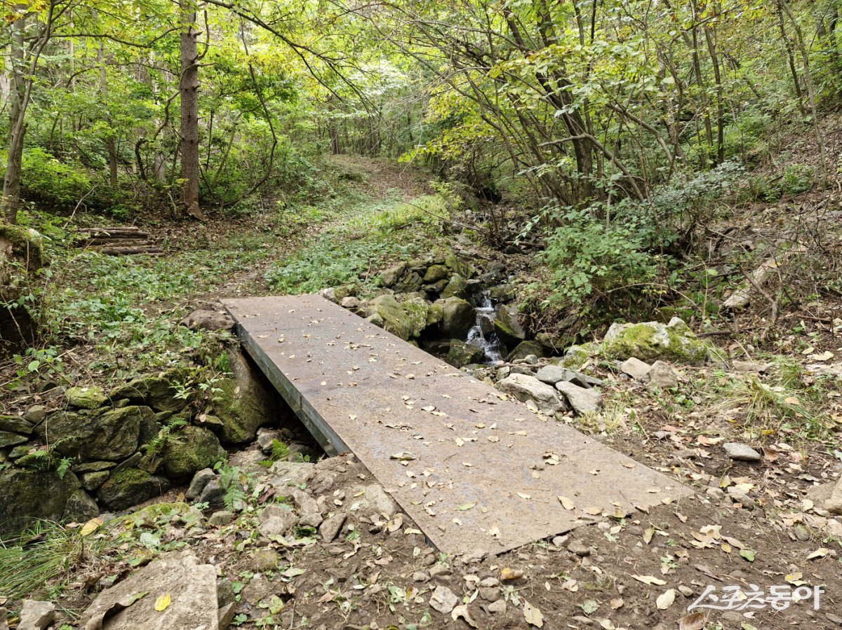 수해피해 복구 완료된 낙동정맥 트레일 구간(승부역~분천역) 모습./사진=봉화군
