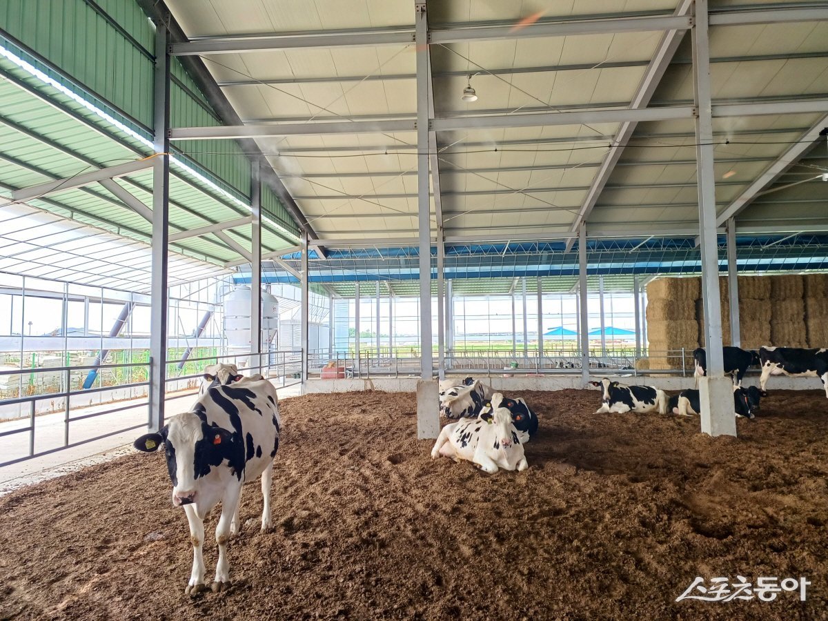 사진제공ㅣ경기도북부청