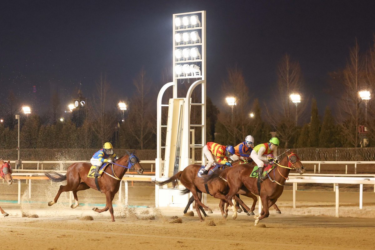 2025년 렛츠런파크 서울의 첫 1등급 경주인 12일 레이스에서 가장 먼저 결승선을 통과하는 빈체로카발로와 조재로 기수 사진제공|한국마사회