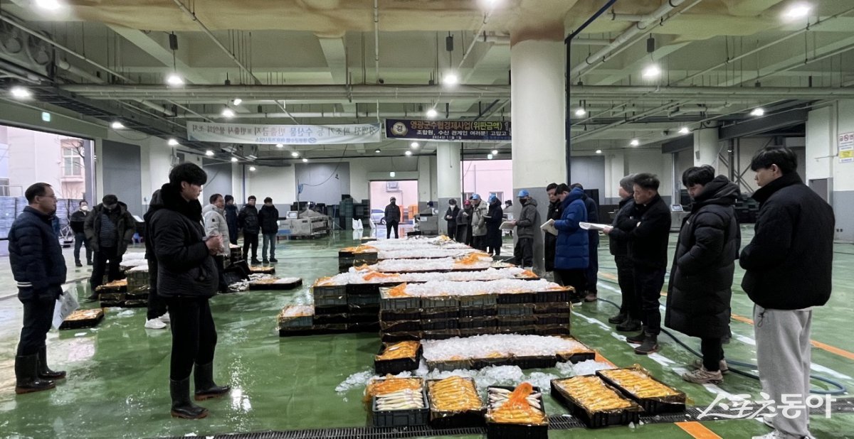 영광군이 지난 14일 수협법성위판장에서 양식 참조기 449상자(7톤)를 출하했다. 사진제공=영광군