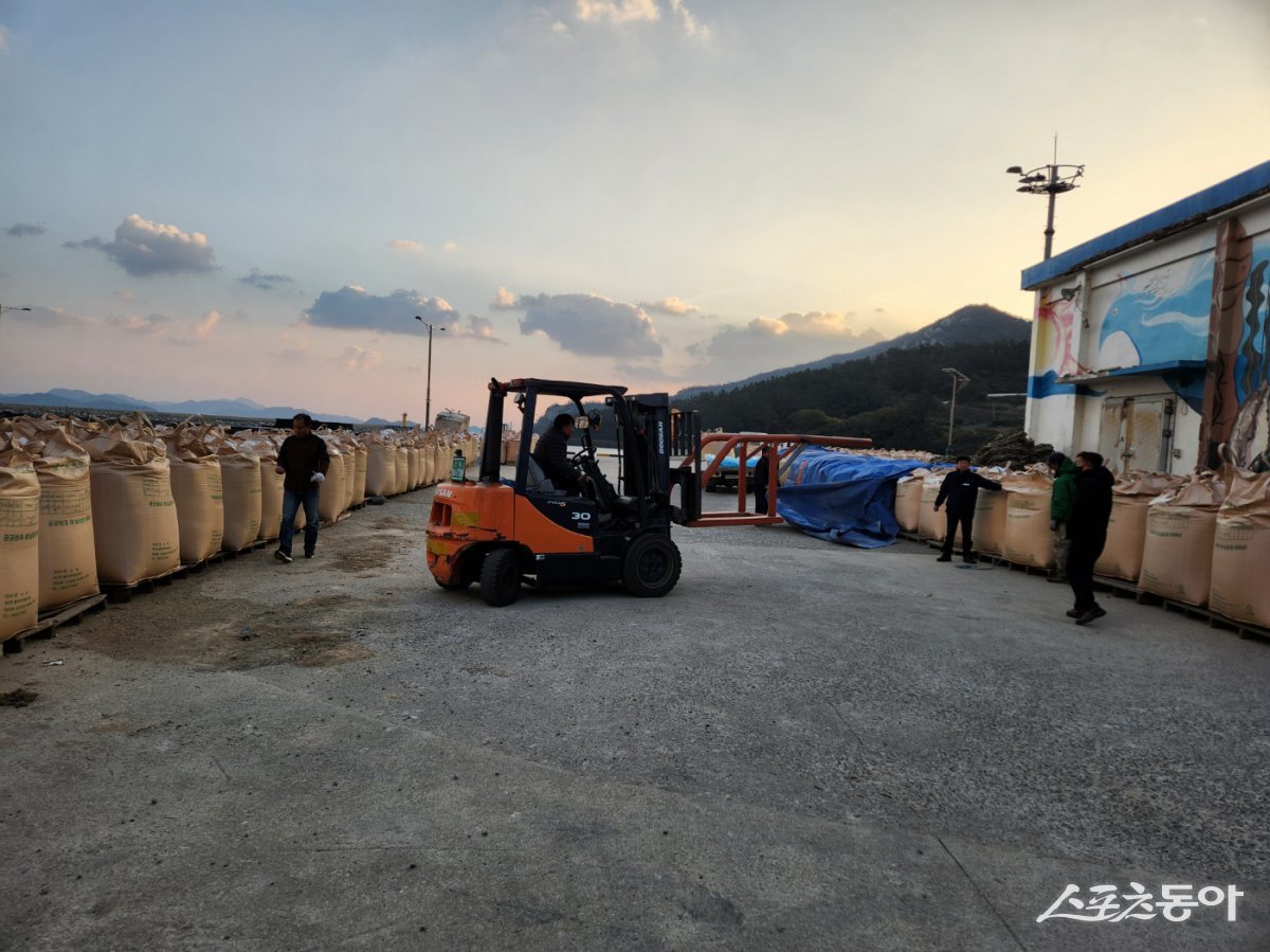 전남 진도군 공공 비축미 매입의 특등 비율이 광주·전남에서 2년 연속 1위를 차지했다. 사진제공=진도군