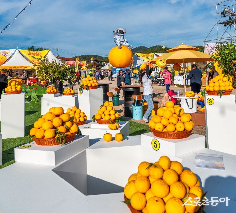지난 고흥유자축제 현장. 사진제공=고흥군