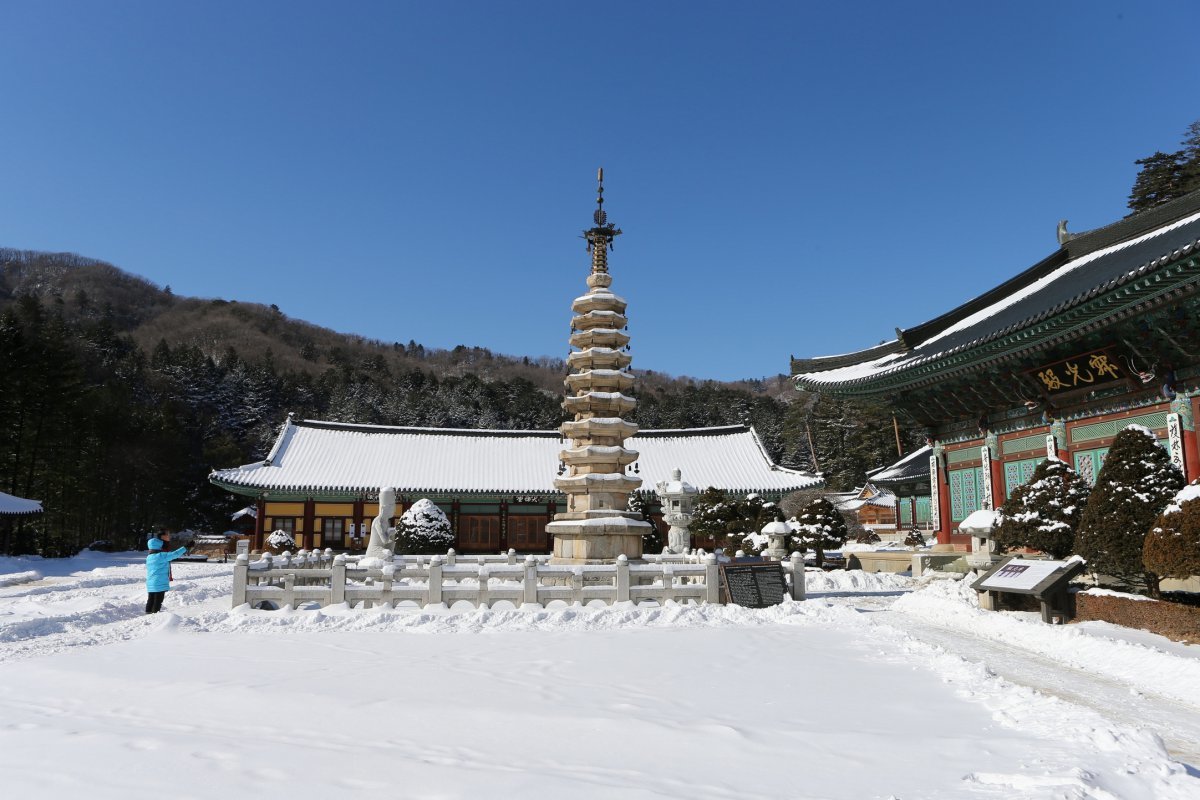 오대산의 동대에 속하는 만월산 앞자락에 자리한 월정사. 신라시대 창건한 고찰로 월정사 팔각구층석탑과 보물 제139호인 월정사 석조보살좌상이 유명하다 사진제공|지엔씨이십일