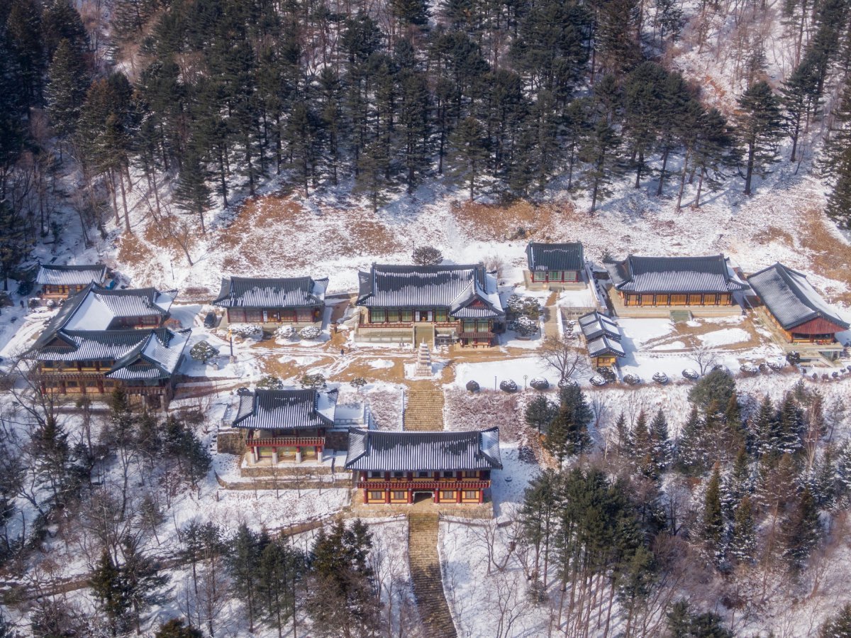 드론을 통해 하늘에서 바라본 상원사 전경. 우리나라에서 몇 손가락 안에 꼽히는 선원으로 현존하는 동종 중 가장 오래되고 아름다운 국보 상원사동종이 있다 사진제공|지엔씨이십일