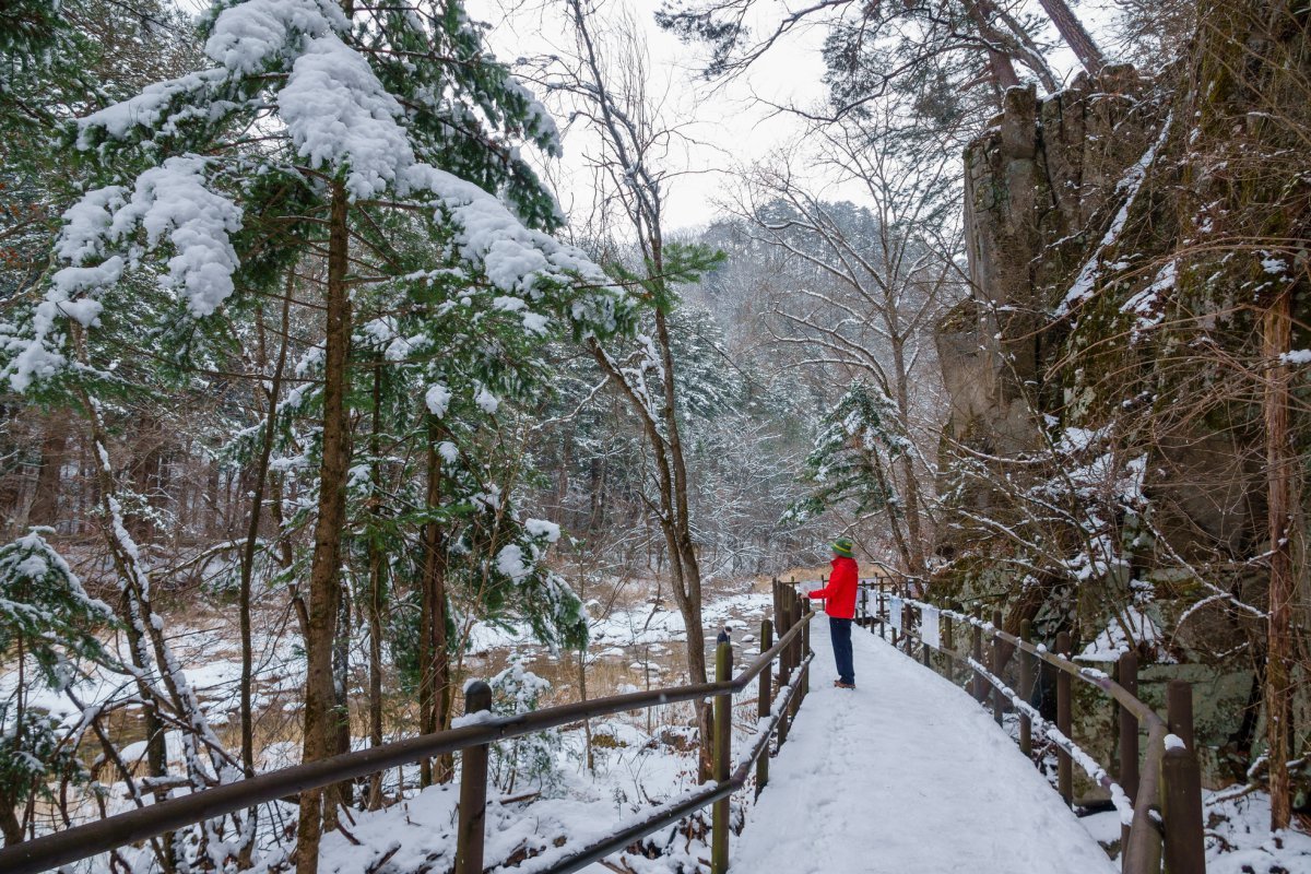하얗게 눈에 쌓인 오대산 선재길. 월정사에서 시작해 동피골을 거쳐 상원사까지 약 10km 이어진다. 1960년대 말 도로가 나기 전부터 스님과 불교신도들이 다니던 길이다 사진제공|지엔씨이십일