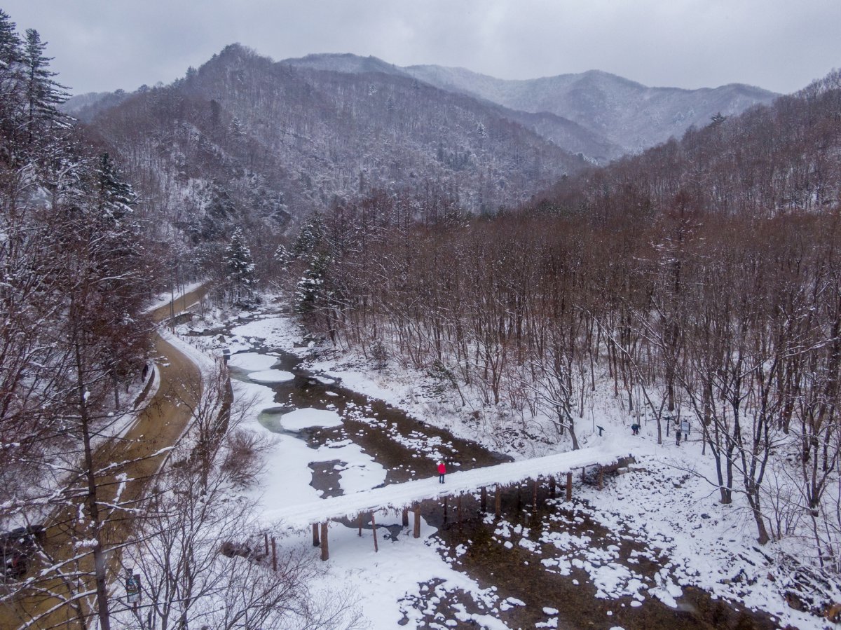 오대산 선재길은 오대천을 여러번 가로지르며 구비구비 올라가는 숲속 오솔길이다. 걷기가 어렵지는 않지만 아이젠, 스패치 등 겨울산행장비는 필수이다 사진제공|지엔씨이십일