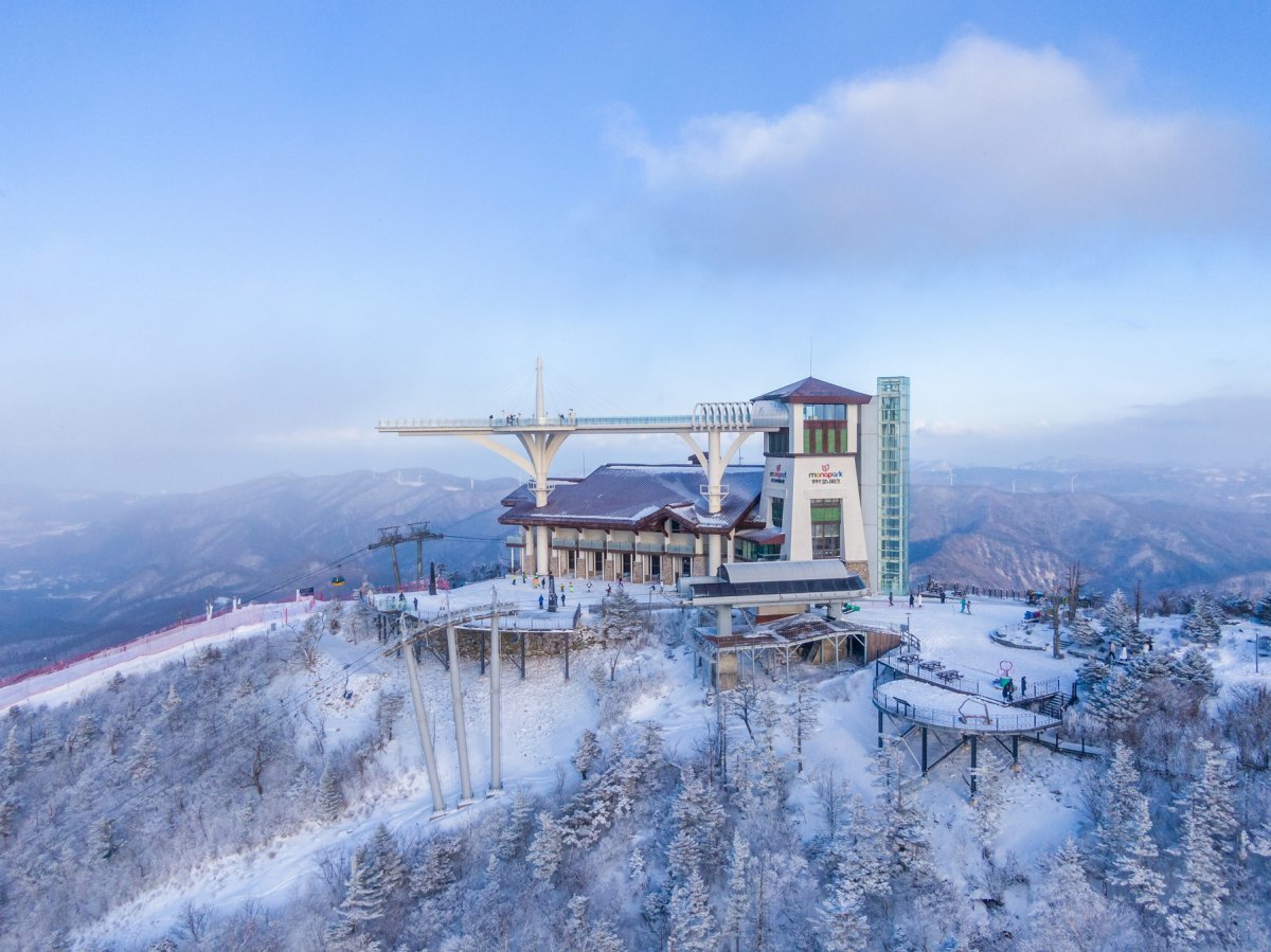 해발 1458m 발왕산 정상에 있는 ‘기 스카이워크’. 높이 24m로 국내서 가장 높은 곳에 있는 전망대다 사진제공|지엔씨이십일