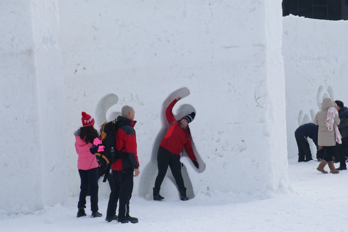 대관령눈꽃축제는 해발 700m의 평창 대관령에서 열린다. 대관령면 송천 일원에서 24일부터 2월 2일까지 진행한다 사진제공|지엔씨이십일