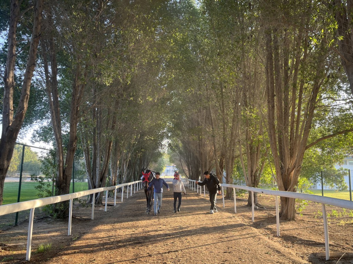 단짝 김혜선기수와 함께 현지적응 중인 글로벌히트. 24일 제 7경주로 열리는 ‘알 막툼 챌린지’로 세계무대에 도전한다 사진제공|한국마사회
