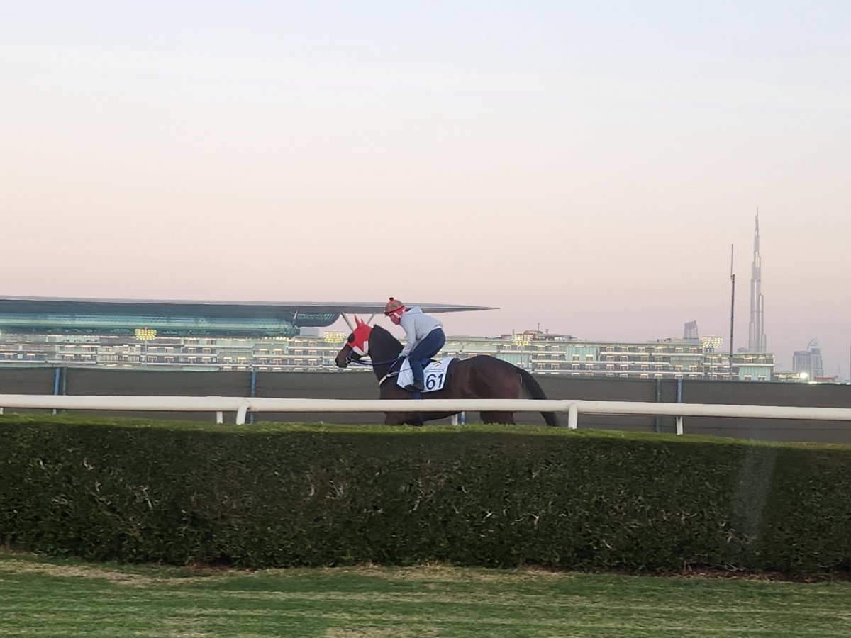 단짝 김혜선기수와 함께 두바이에서 현지훈련 중인 글로벌히트 사진제공|한국마사회