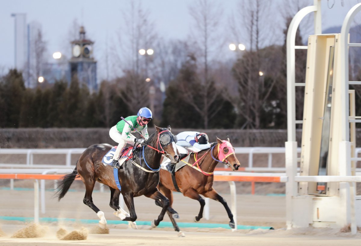 26일 렛츠런파크 서울 제10경주에서 럭키파티와 함께 결승선을 가장 먼저 통과하는 조한별 기수 사진제공|한국마사회