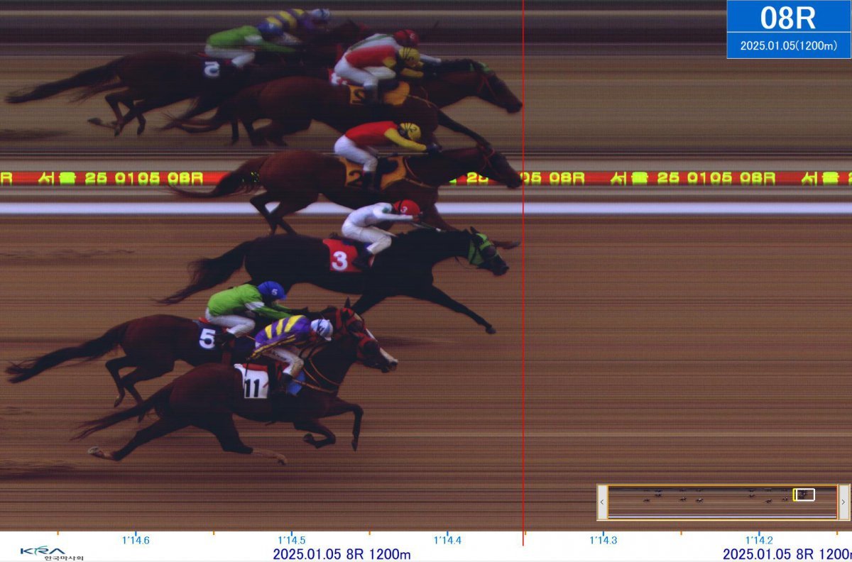 5일 렛츠런 파크 서울 8경주의 사진판독 모습. 1위와 2위, 3위와 4위가 모두 ‘코차’로 결정나는 보기 드문 결과가 나왔다 사진제공|한국마사회