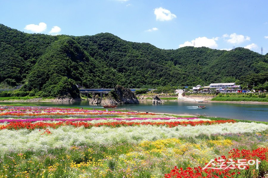 단양의 대표 관광지인 도담삼봉, 만천하스카이워크, 단양강 잔도가 2025-2026 한국관광 100선에 선정됐다(도담정원 전경). 사진제공|단양군청
